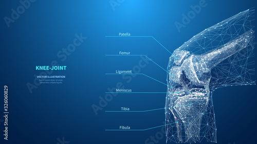 Abstract polygonal knee-joint on blue background. Infographic medicine technology innovation concept. Low poly wireframe digital skeleton of human. A knee. Bones from polygons lines and connected dots