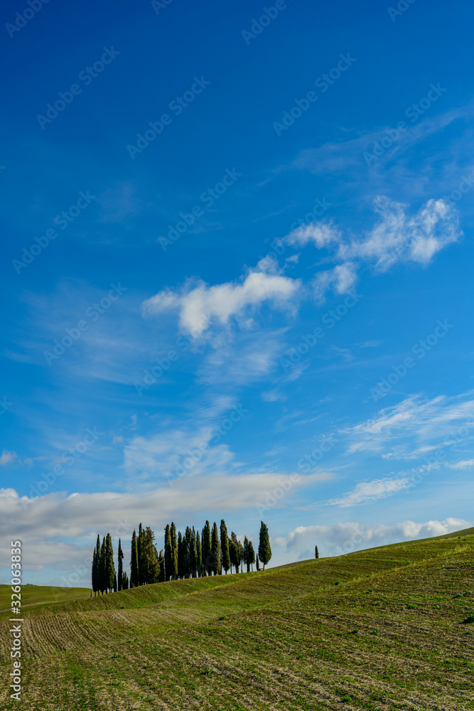 Common landscape of Tuscany, Italy