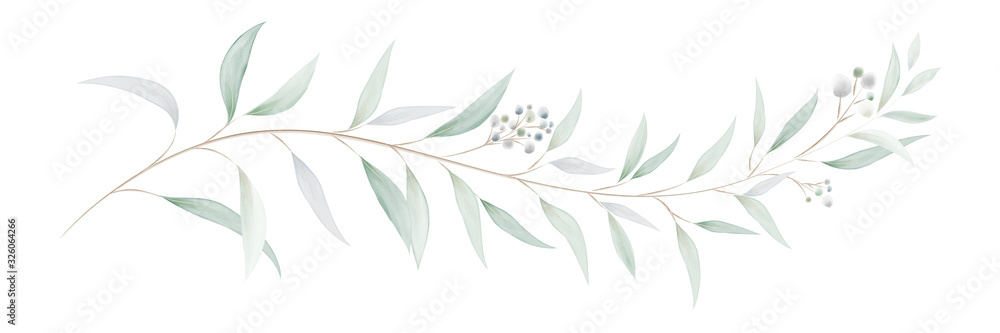 Watercolor eucalyptus leaves and branches - obrazy, fototapety, plakaty 