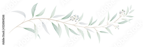 Fotografie, Obraz Watercolor eucalyptus leaves and branches