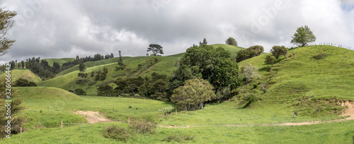 green hilly countryside , near Whiritoa, New Zealand photo