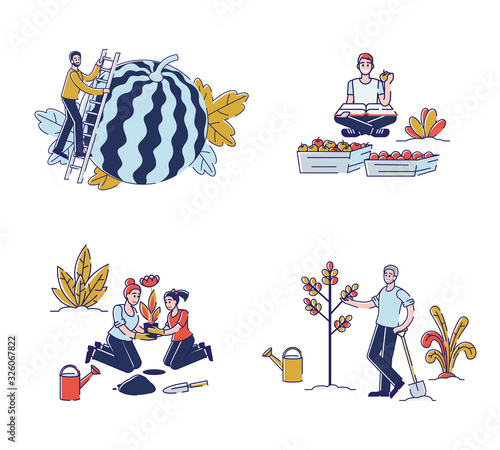 Gathering Harvest Activity Concept. People Men and Women are Working Together On The Farm, Planting Plants, Gathering Fruits in The Garden. Set Of Cartoon Linear Outline Flat Vector Illustrations
