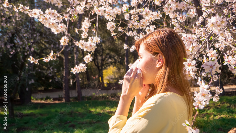 A pregnant woman is suffering from allergy in spring with the early flowers that bloom in spring A pregnant woman is suffering from allergy in spring with the early flowers that bloom in spring