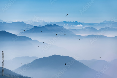 Dohlen Vögel fliegen segeln kreisen Himmel Hochgrat Bayern Deutschland Panorama Nebel Dunst diesig Aussicht Österreich Gipfel Alpen Täler Fernsicht Oberstaufen Balderschwang