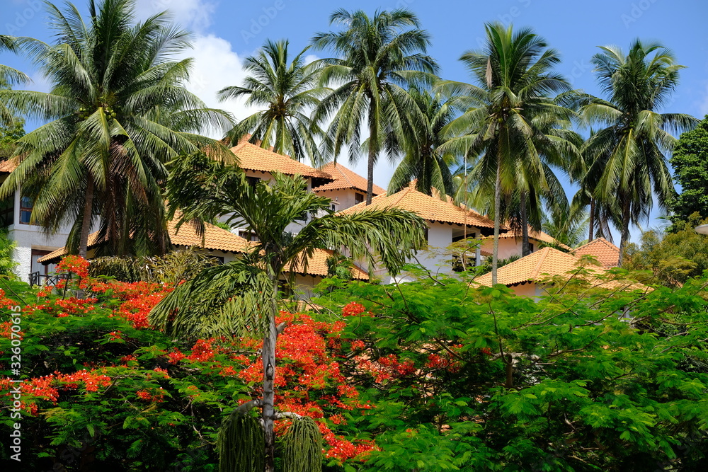 Batam Indonesia - Houses and blooming trees in Nongsa Beach area