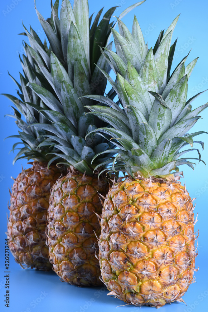 Fototapeta premium Three close up pineapples on blue background