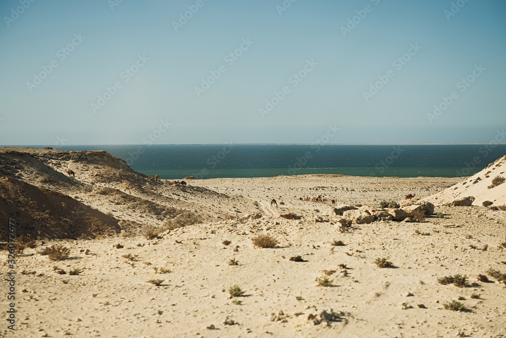 Amazing sand dunes during sunny and windy day in the Natural Reserve of Dunes with sand dust and ocean in background,