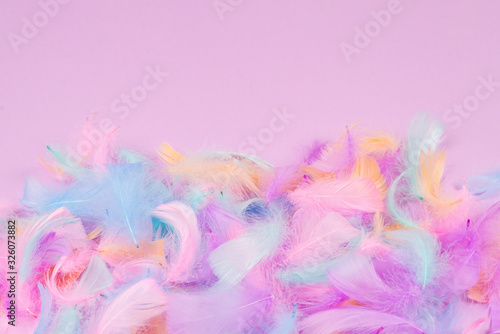 Colorful feather background