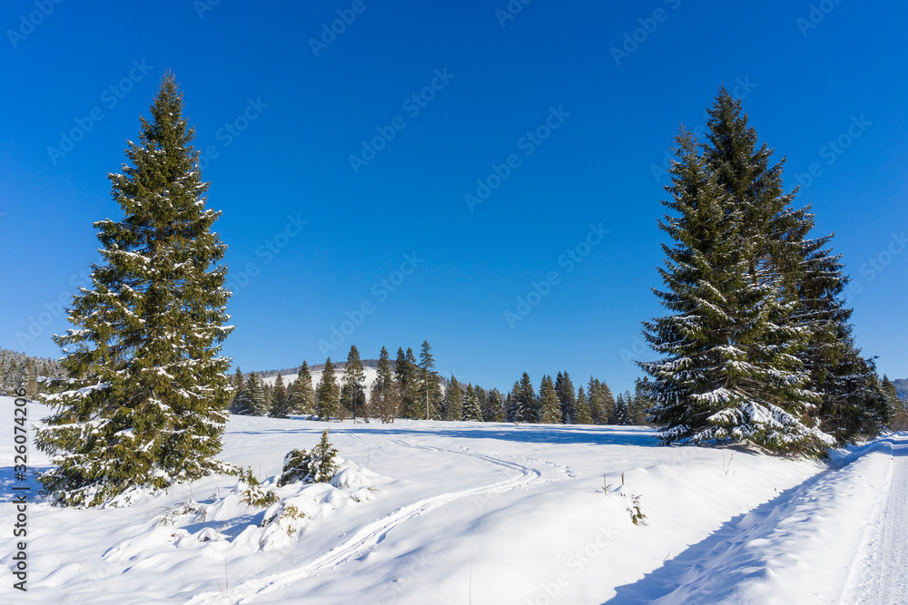 Winter scenery in the mountains. Around Oravice. Tatry. Slovakia. Winter scenery in the mountains. Around Oravice. Tatry. Slovakia.