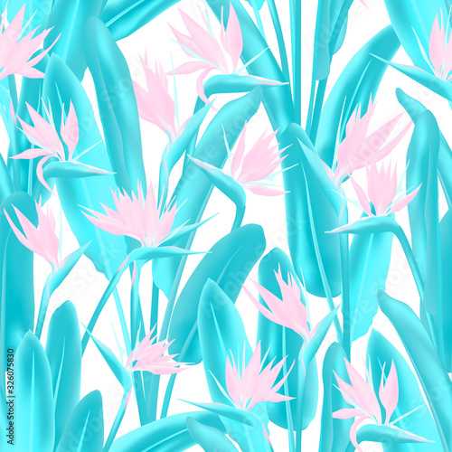 Strelitzia reginae tropical flower vector seamless pattern. Jungle exotic tropical plant fabric design. South African plant tropical blossom of crane flower, strelitzia. Floral wallpaper.