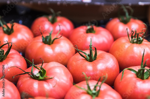 exhibition of wonderful red tomatoes