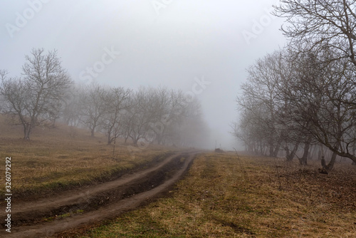 Dark foggy autumn countriside view with road in morning