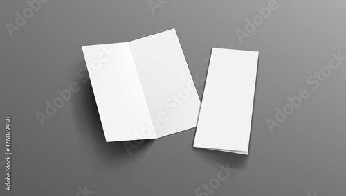Slim Vertical Half Folded Brochure On Gray