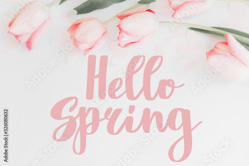 Hello spring. Hello spring text on pink tulips border on white background, floral greeting card. Stylish tender image. Handwritten lettering. Springtime poster © sonyachny