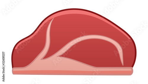 Cartoon style raw beef on white background