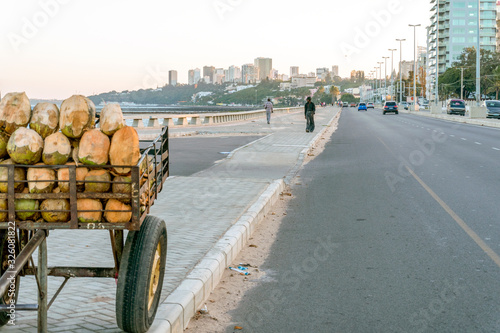 Cart full of coconuts by the street in Mapouto, Mozambique