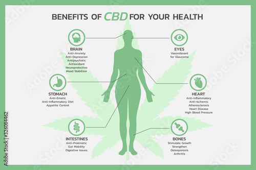 benefits of CBD for women health infographic, healthcare and medical  about cannabis, hemp, marijuana, and weed, vector flat symbol icon illustration in horizontal design
