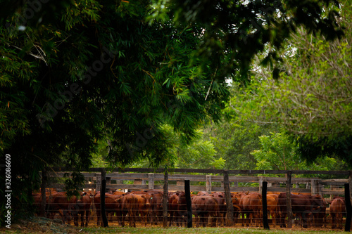 neopix fotografia | erich sacco