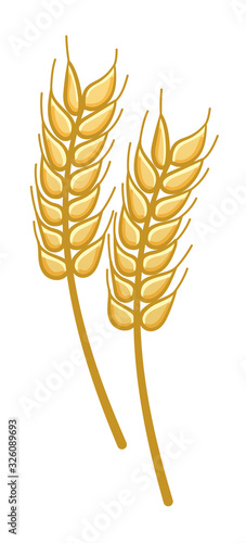 Cartoon style isolated wheat on white background