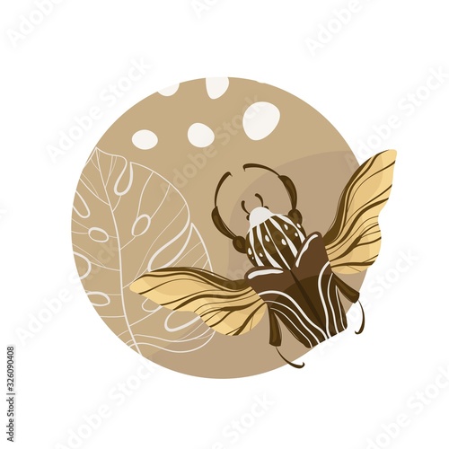 Goliath beetle. Goliathus cacicus vector hand drawn illustration.