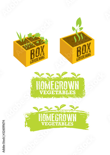 Box Gardening Sign Concept. Homegrown Vegetables Illustration. Craft Food Vector Design Element On Painted Wall Background