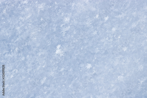 Texture of toned freshly fallen snow. Christmas template for design. Clearly visible individual snowflakes. Winter background.