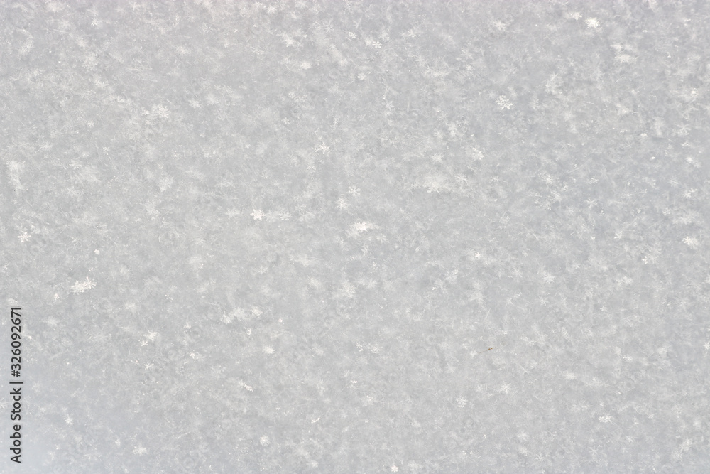 The texture of freshly fallen snow. Christmas template for design. Clearly visible individual snowflakes. Winter background.