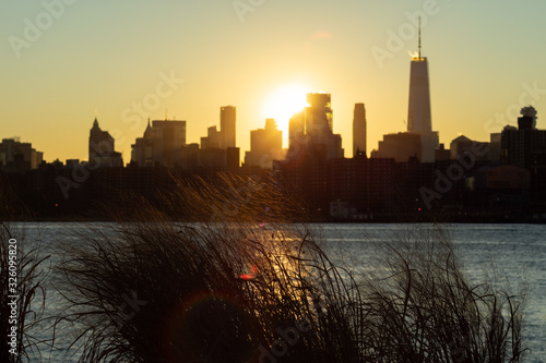 Plants on the Shore of Transmitter Park in Greenpoint Brooklyn New York along the East River with a view of the Manhattan Skyline during Sunset