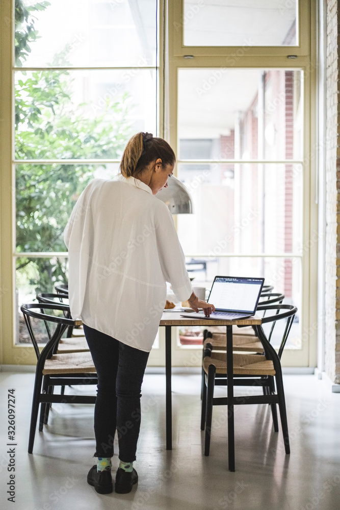 Rear view of female architect working over laptop at home Rear view of female architect working over laptop at home