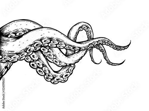 The tentacles on white background 