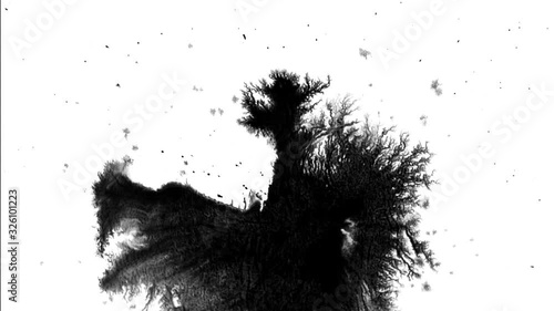 Organic Smooth Black Ink Bleed, Blots on Paper Matte Luma Overlay or Background 