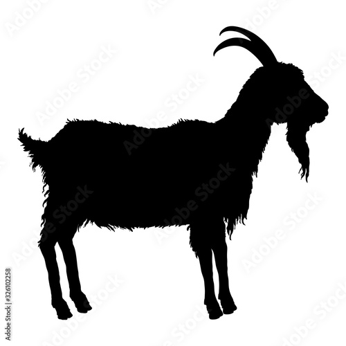 Vector Silhouette of Goat.