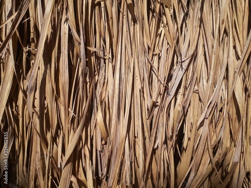 Straw thatched roof. Backgound of dried grass