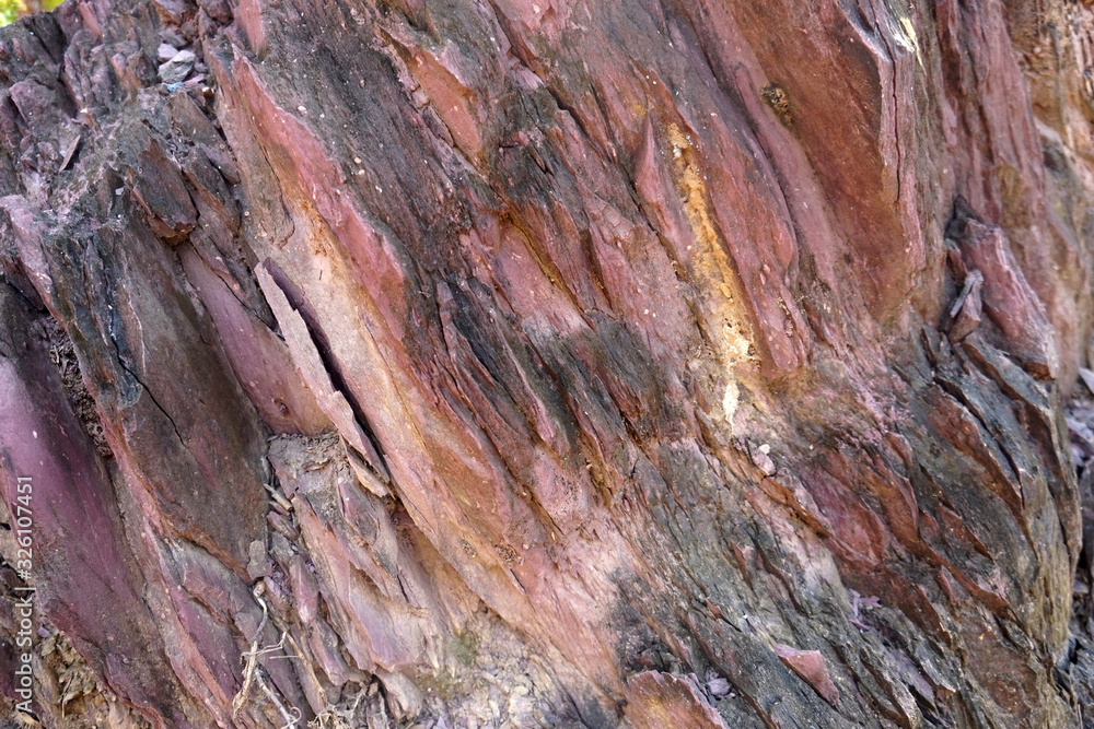texture of shale stone in the nature. Red shale sedimentary rocks formed of thick layers of clay minerals in a calm water setting. Shale can come in many colors.