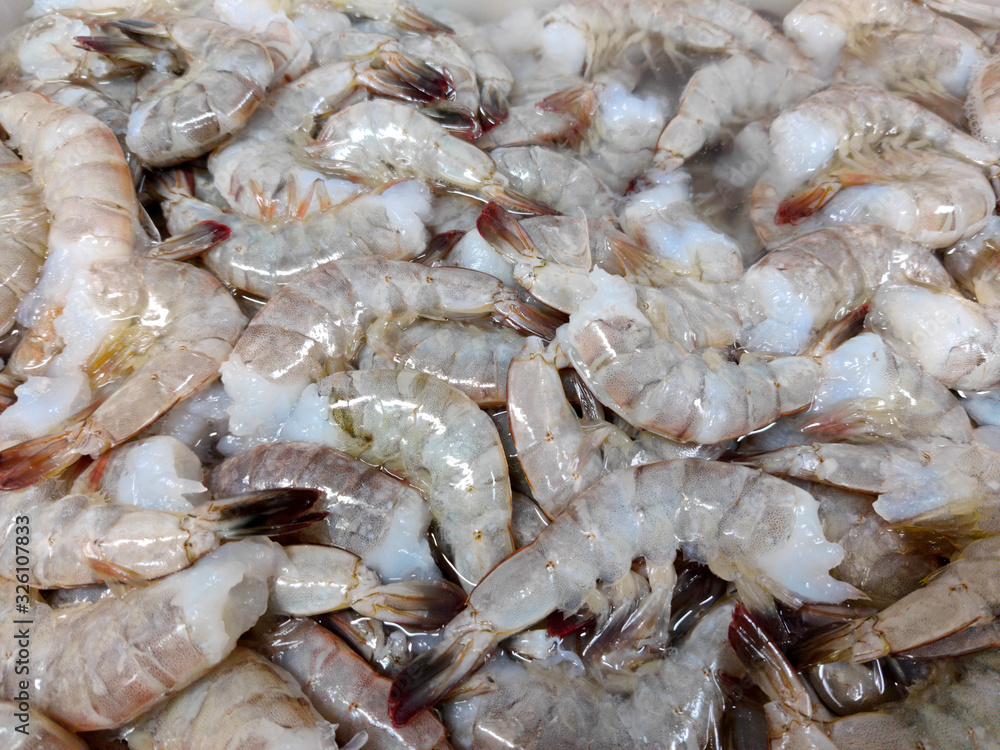 shrimps on ice shrimps on ice