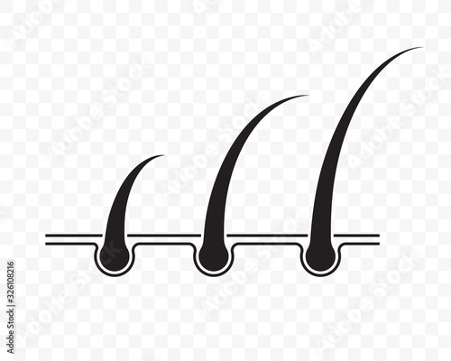 Hair follicle growth vector isolated flat icon. Hair in follicle for shampoo treatment package design or hair transplantation infographics