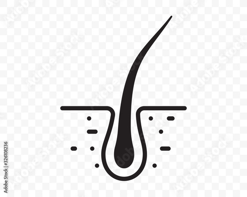 Hair follicle vector line flat icon. Hair bulb in follicle pore, shampoo treatment, dermatology and hair transplantation design element