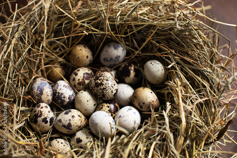 Farm in village. Eggs on hay in the nest. Easter background. Farm in village. Eggs on hay in the nest. Easter background.