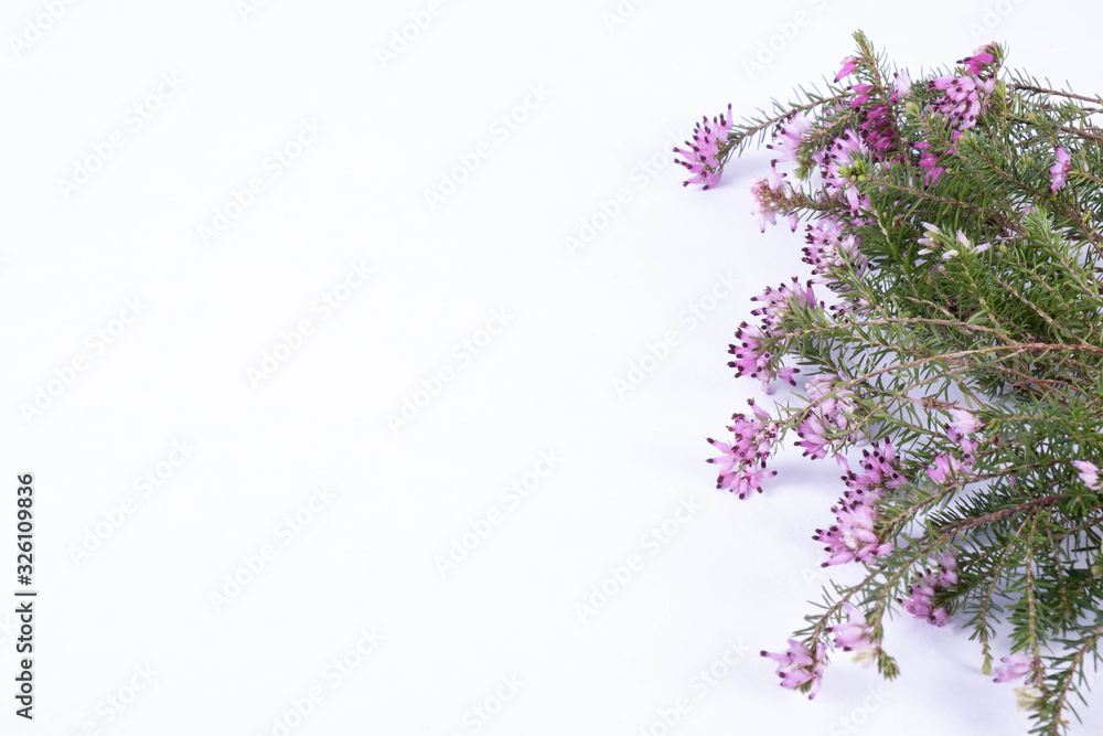 green branches of spring flowers on a table green branches of spring flowers on a table