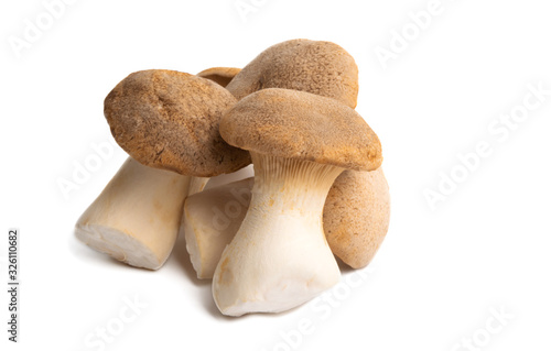 eringi mushrooms isolated