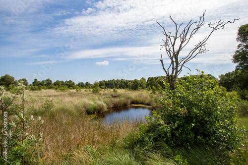 Ewiges Meer Tümpel