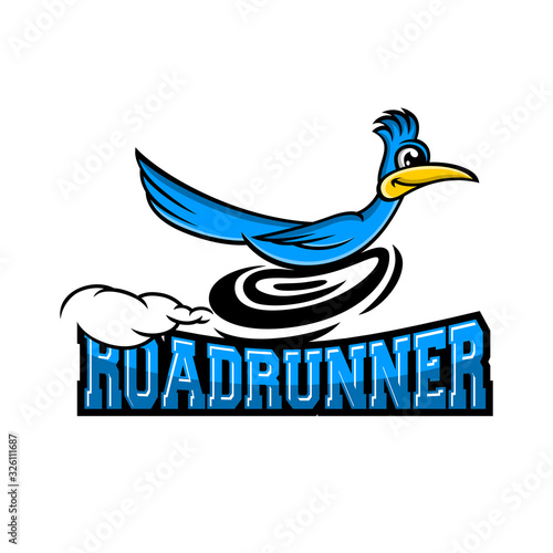Modern roadrunner bird logo. Vector illustration. photo