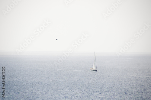 sailboat in the Pacific Ocean coast with a seagull © Alexandr Ivaschenko