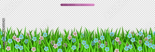 Green grass and flowers seamless border isolated on transparent background