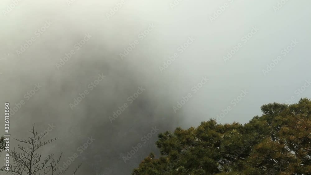 Mist, clouds rising in Huangshan national park, (Yellow Mountain) Anhui Porvince, China. Mist, clouds rising in Huangshan national park, (Yellow Mountain) Anhui Porvince, China.