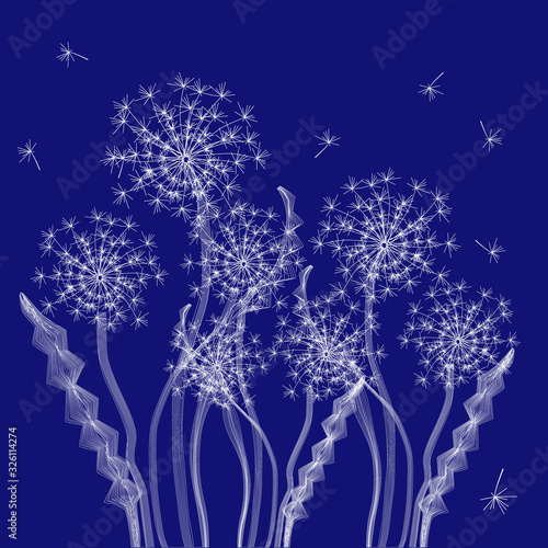 Vector drawing of a white dandelion  flower on a blue background. For printing on clothes  bags  book covers.