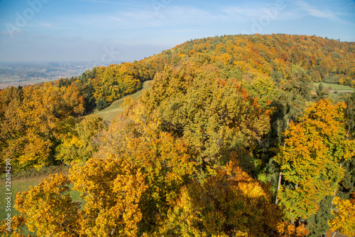 Fototapeta Naklejka Na Ścianę i Meble -  Herbst in der Steiermark