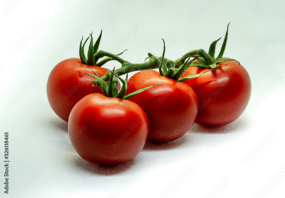 branch of tometoes isolated background branch of tometoes isolated background