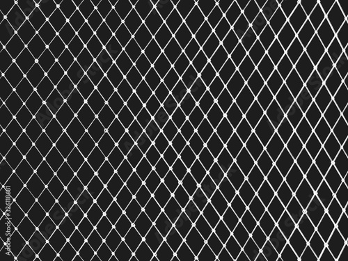 Net Illustration mesh for use as illustrations isolated.
