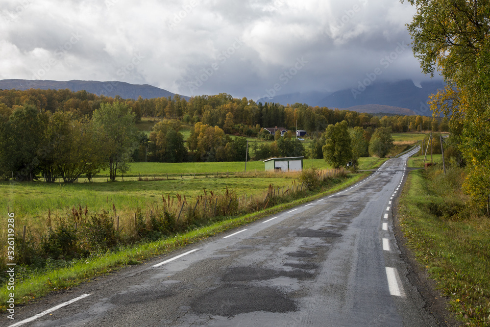 Fototapeta premium Road in norway